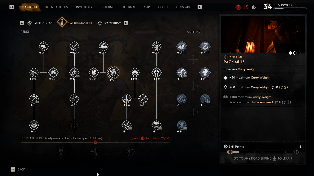 The Blood of Dawnwalker early skill points and carry weight