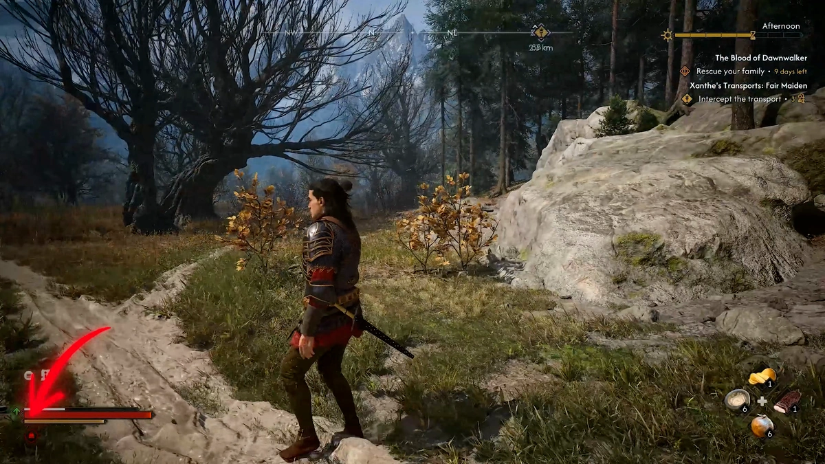 The Blood of Dawnwalker move items into storage